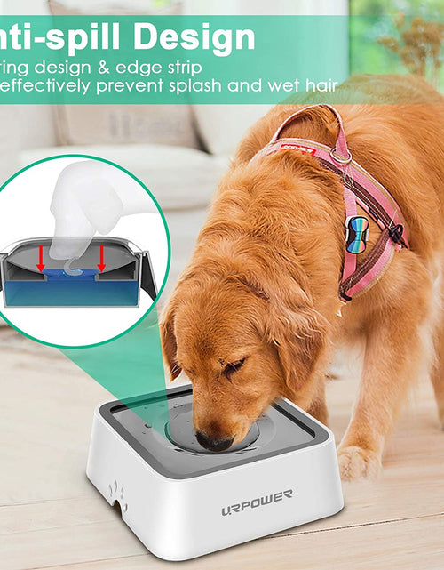 Load image into Gallery viewer, 2L Dog Water Bowl 70Oz Large Capacity No Spill Dog Bowl Cat Water Bowl with Eco-Friendly Material Slow Water Feeder Pet Water Dispenser Vehicle Carried Travel Water Bowl for Dogs, Cats &amp; Pets
