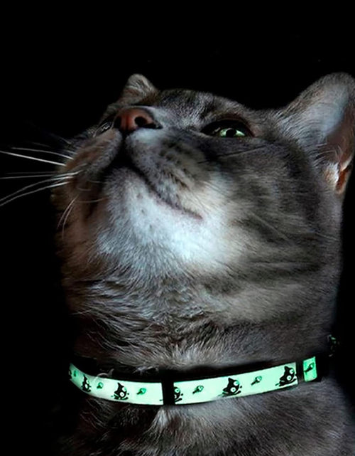 Load image into Gallery viewer, Glow in the Dark Cat Collar with Safety Buckle and Removable Bell Cat Collar Kitten Collar Cat Collar
