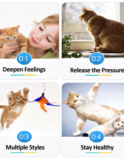 Load image into Gallery viewer, BT Bear 11 PCS Cat Feather Toy, Multiple Styles Feather Refills for Cat Toys, Replacement Feather Toy with Bell Refills, Interactive Catcher Teaser and Funny Exercise for Kitten or Cats
