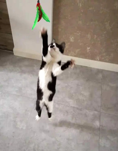 Load image into Gallery viewer, BT Bear 11 PCS Cat Feather Toy, Multiple Styles Feather Refills for Cat Toys, Replacement Feather Toy with Bell Refills, Interactive Catcher Teaser and Funny Exercise for Kitten or Cats
