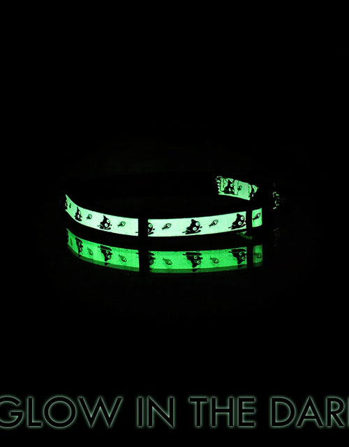 Load image into Gallery viewer, Glow in the Dark Cat Collar with Safety Buckle and Removable Bell Cat Collar Kitten Collar Cat Collar

